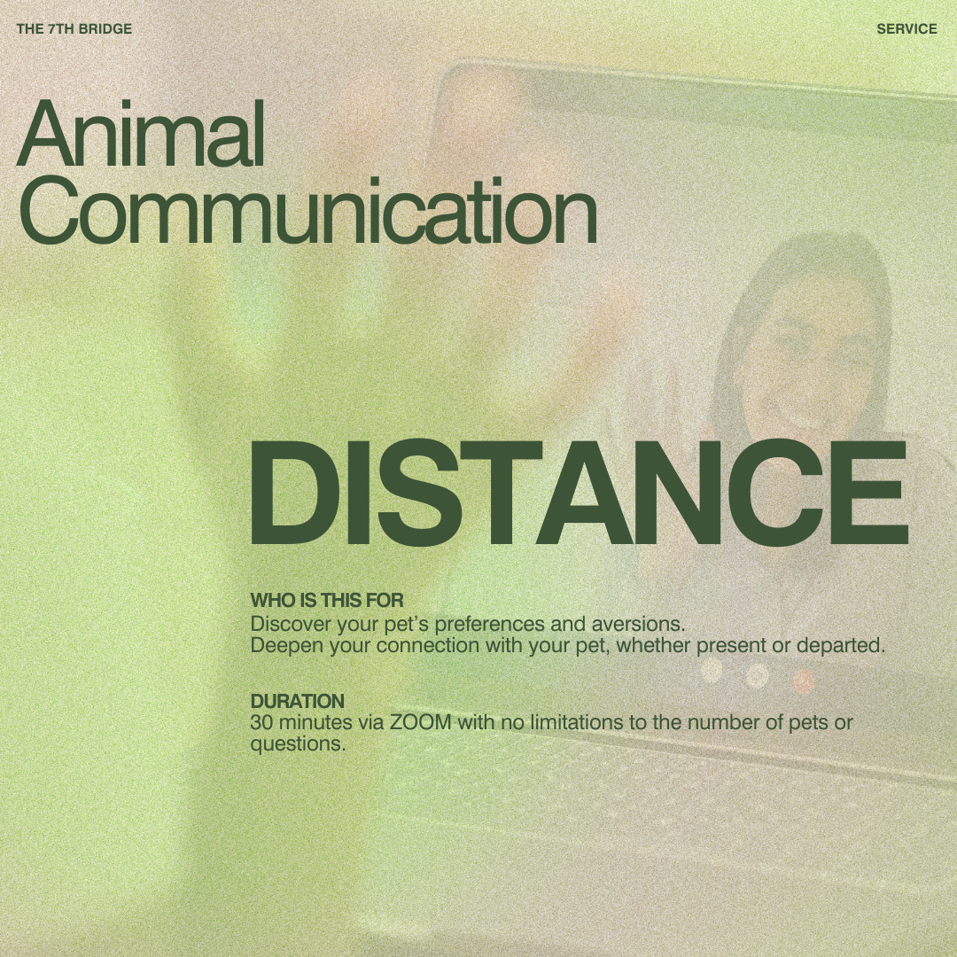 Animal Communication (Distance)
