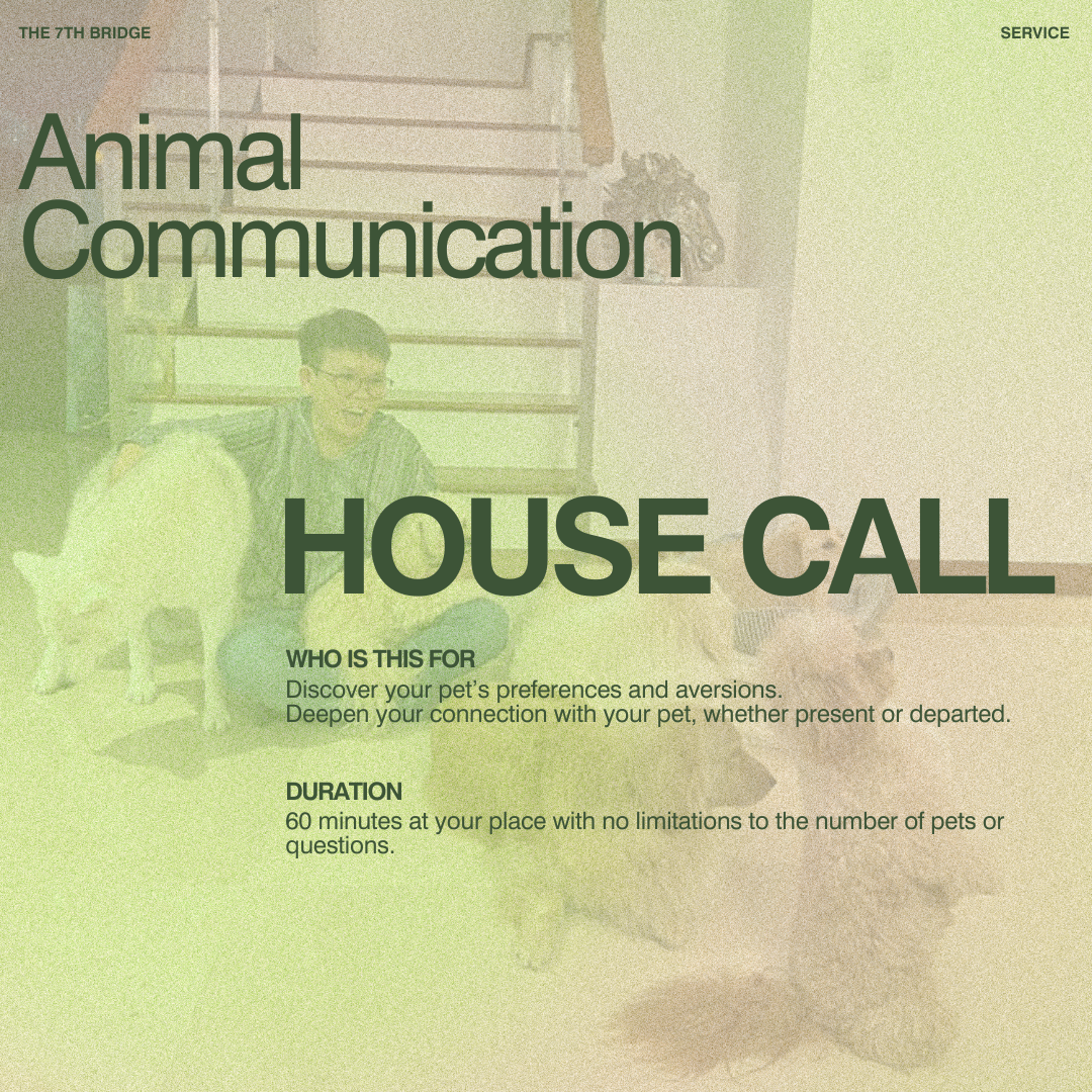 Animal Communication (House Visit)