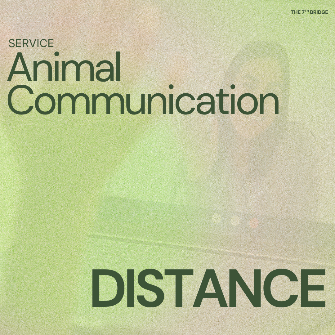 Animal Communication (Distance)