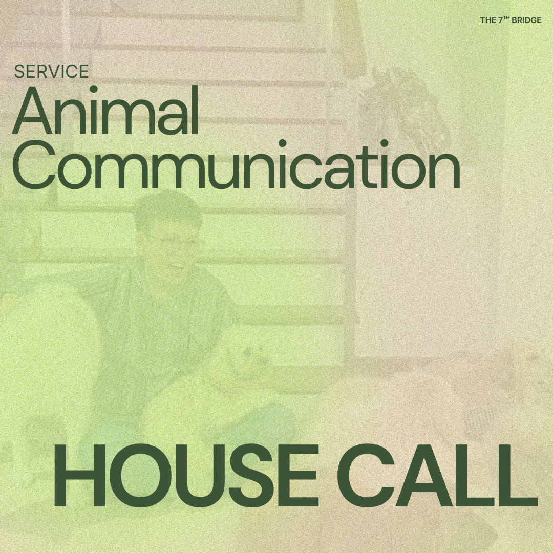 Animal Communication (House Visit)