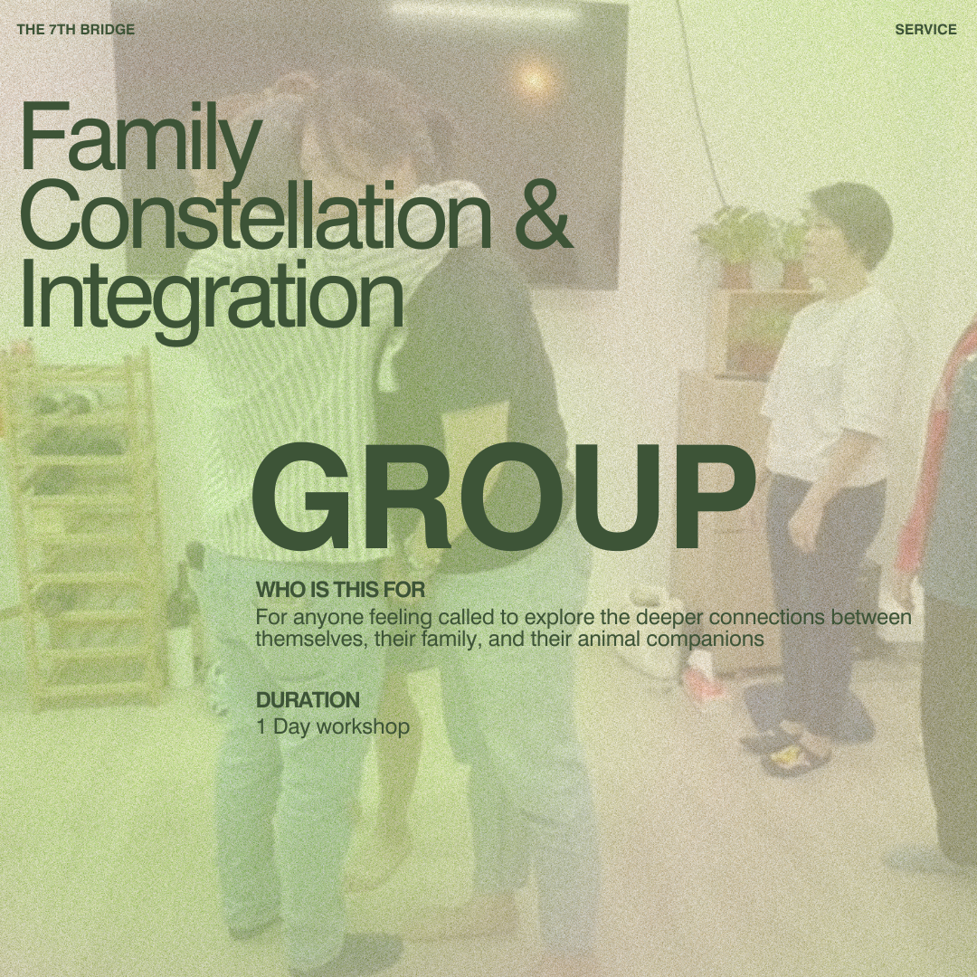 Family Constellation and Life Integration GROUP